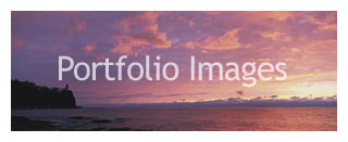 Portfolio Images