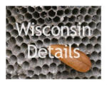 Wisconsin Details
