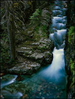 Near Logan Pass, Glacier National Park