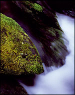 Rapids, Roaring Fork, Great Smoky Mountains National Park, Tennessee