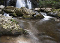 Spruce Flat Falls, Tremont, Great Smoky Mountains National Park, Tennessee