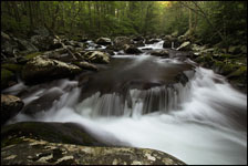 Small Falls, Middle Prong Little River, Great Smoky Mountains National Park, Tennessee