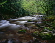 Middle Prong, Little River, Great Smoky Mountains National Park, Tennessee