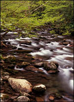 Middle Prong Little River, Great Smoky Mountains National Park, Tennessee