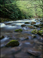 Middle Prong Little River, Great Smoky Mountains National Park, Tennessee