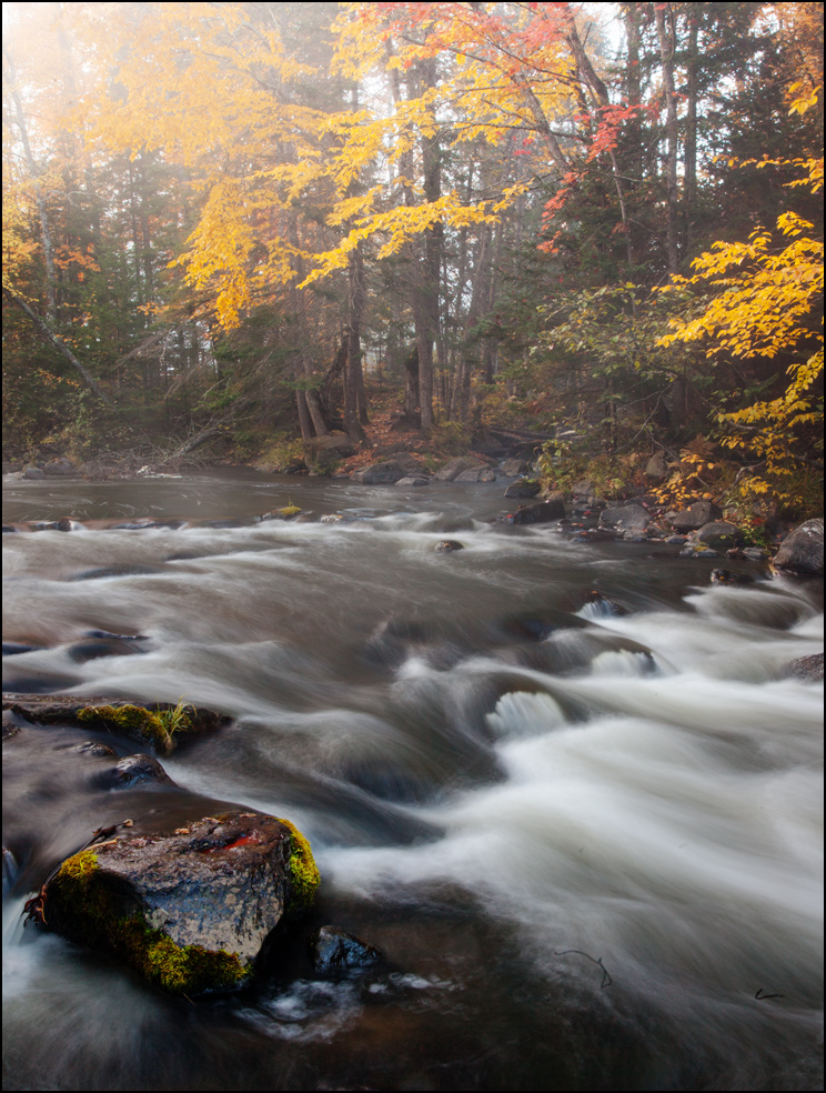 Rapids downstream from Bond Falls in Fall, Upper Michigan