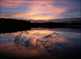 Pete's Lake, Hiawatha National Forest, Upper Michigan