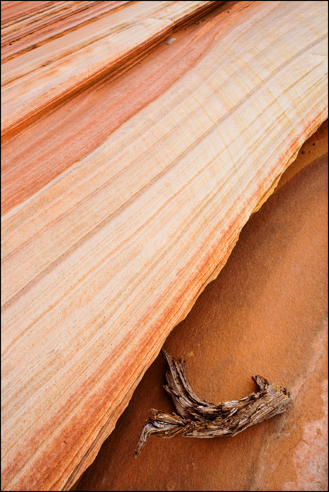 The Wave, Coyote Buttes North, Arizona