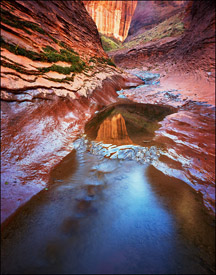 Willow gulch, Escalante, Utah