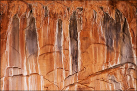 Stained walls, the Narrows, Zion National Park, Utah