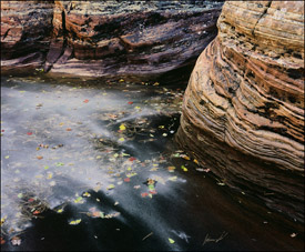 Pine Creek Ice and Sand, Zion National Park, Utah