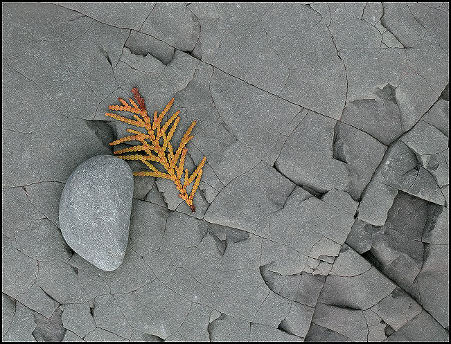 Rock and Leaves on Lake Superior, Porcupine Mountains State Park, Upper Michigan