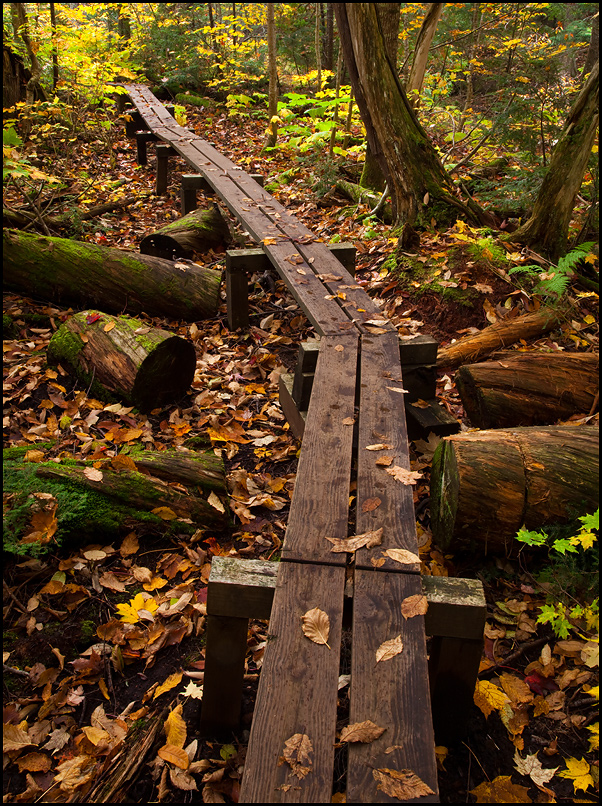 Wood Plank Trail to Greenstone Falls Waterfall, Porcupine Mountains Wilderness State Park, Upper Michigan