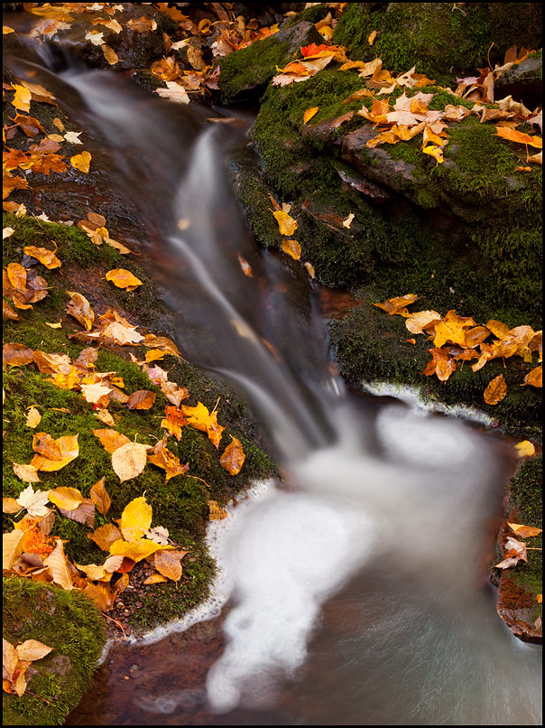 Trap Falls Waterfall, Porcupine Mountains Wilderness State Park, Upper Michigan, Picture