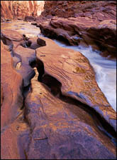 Near Capitol Reef National Park