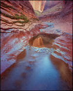 Reflections in Willow Gulch, Utah