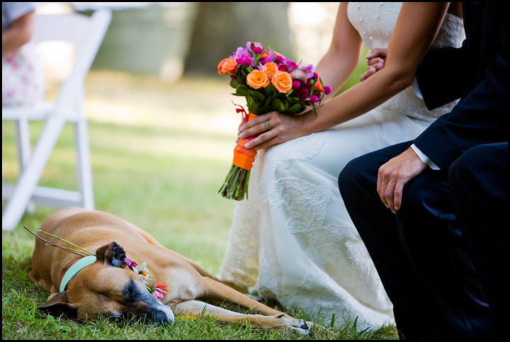 Green Lake, Wisconsin Wedding Photography