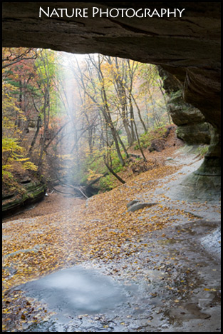 Nature Photography Pictures